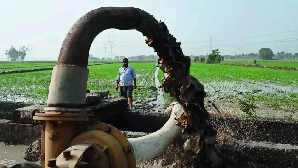 Delhi Village Faces Groundwater Extraction Notice Amid Ongoing Water Crisis