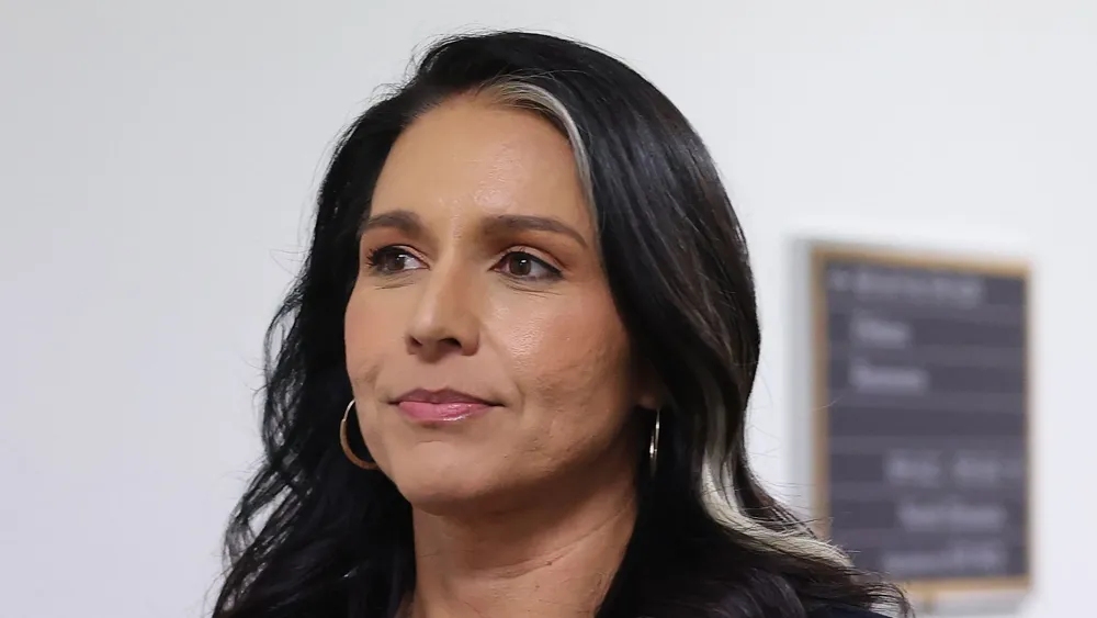 Democrat Raises Concerns About Tulsi Gabbard's Intelligence Nomination