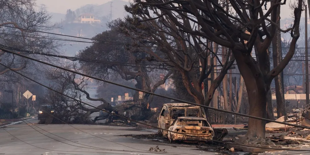 Devastated Pacific Palisades Residents Return to Survey Fire Damage