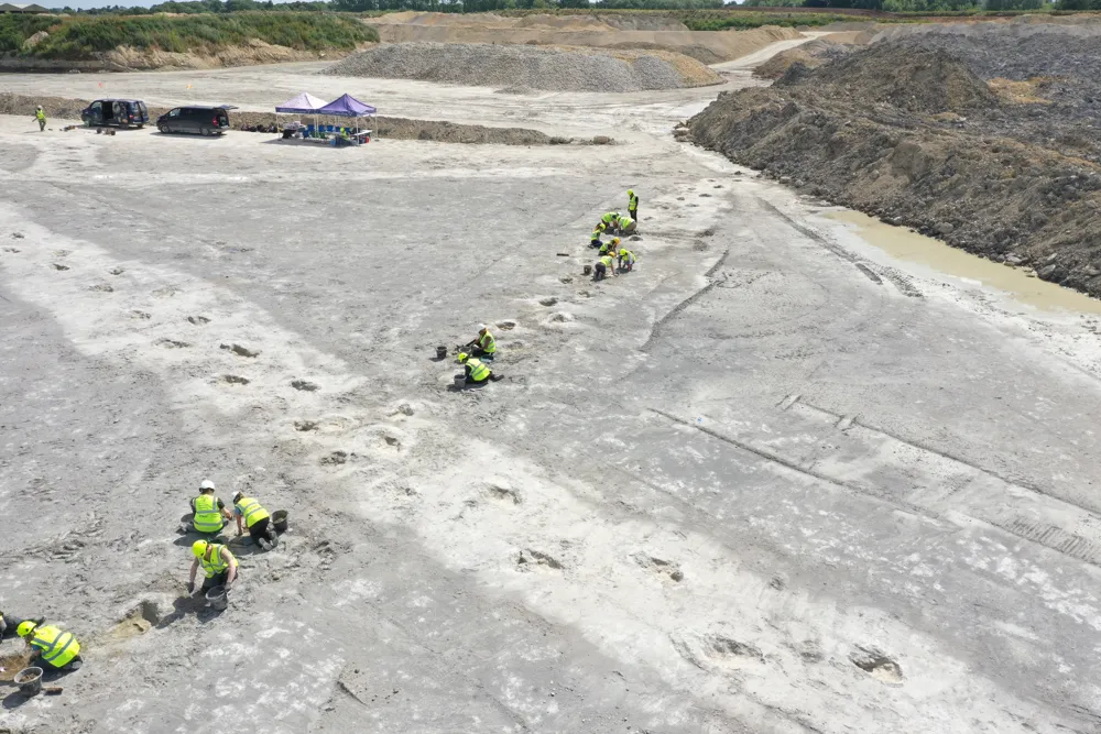 Dinosaur Footprints Found on Ancient 'Highway' in Southern England