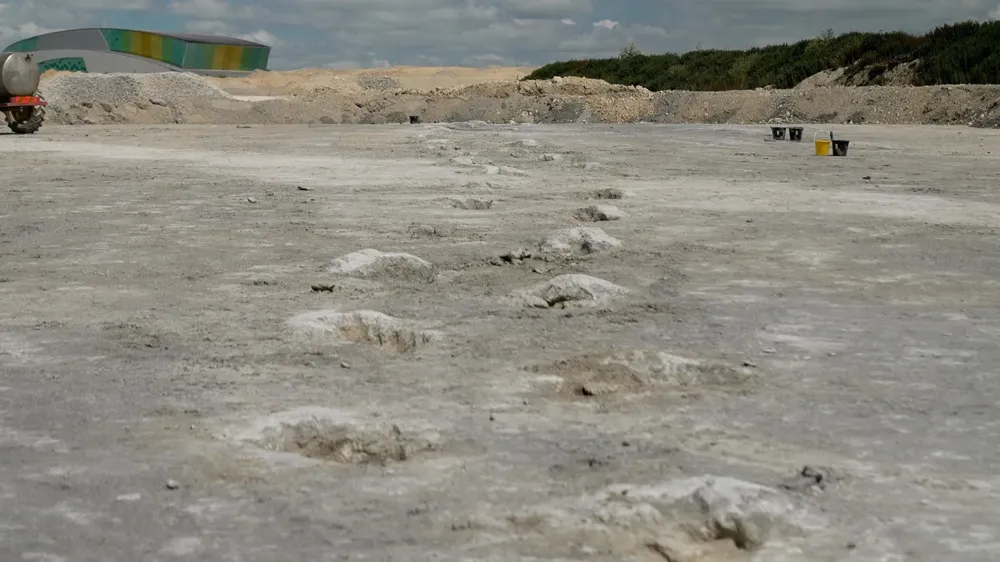 Discovery of Largest Dinosaur Footprint Site in the UK Offers Glimpse into Jurassic Era