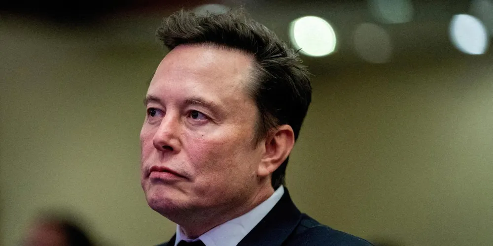 Disunity Among Europeans as Elon Musk's Influence Grows