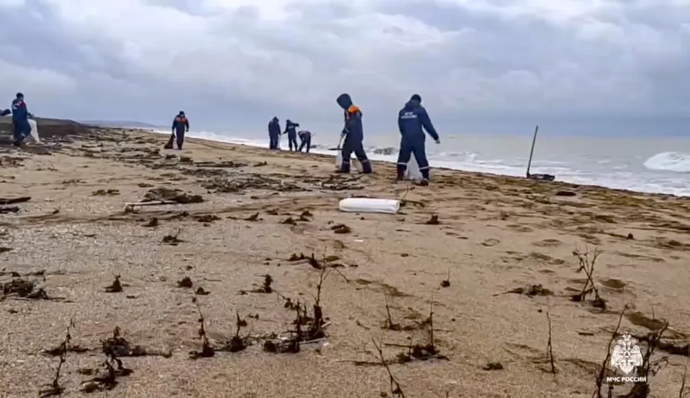 Ecological disaster: 32 dolphins dead following oil spill in Kerch Strait