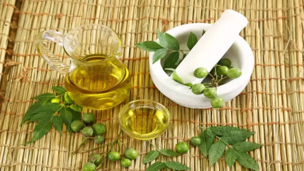 Effective Use of Neem Oil for Treating Bald Patches