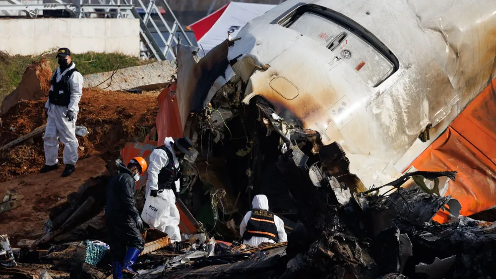 Entire Families Among Victims in Devastating South Korea Plane Crash