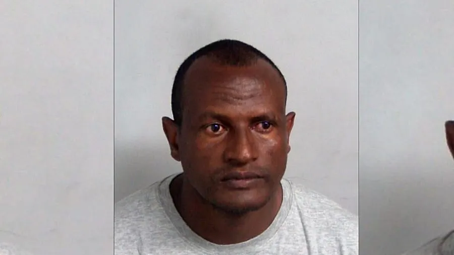 Ethiopian sex offender wrongly released from UK prison deported to Ethiopia