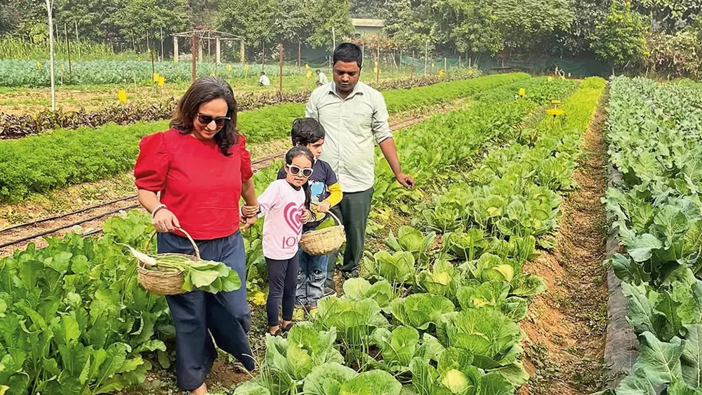 Experience the Joys of Farm Life in NCR This Winter