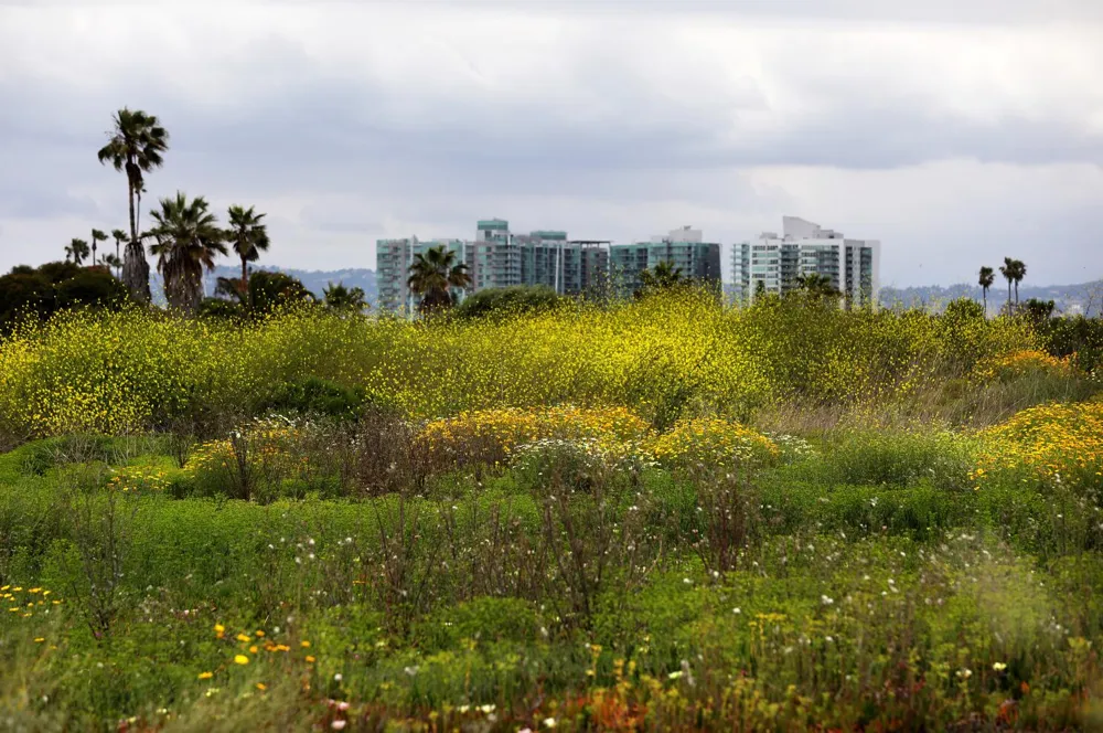 Exploring the Balance Between Housing Development and Urban Biodiversity