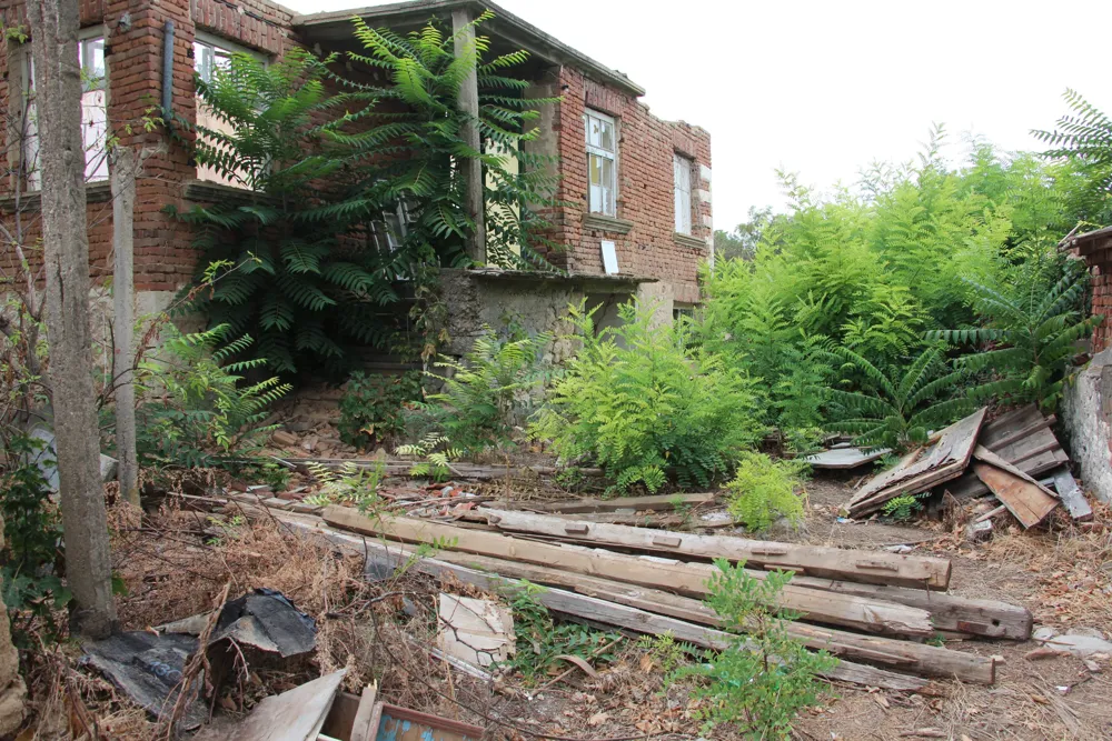 Exploring the Ecological Impact of Abandoned Farmland in Bulgaria