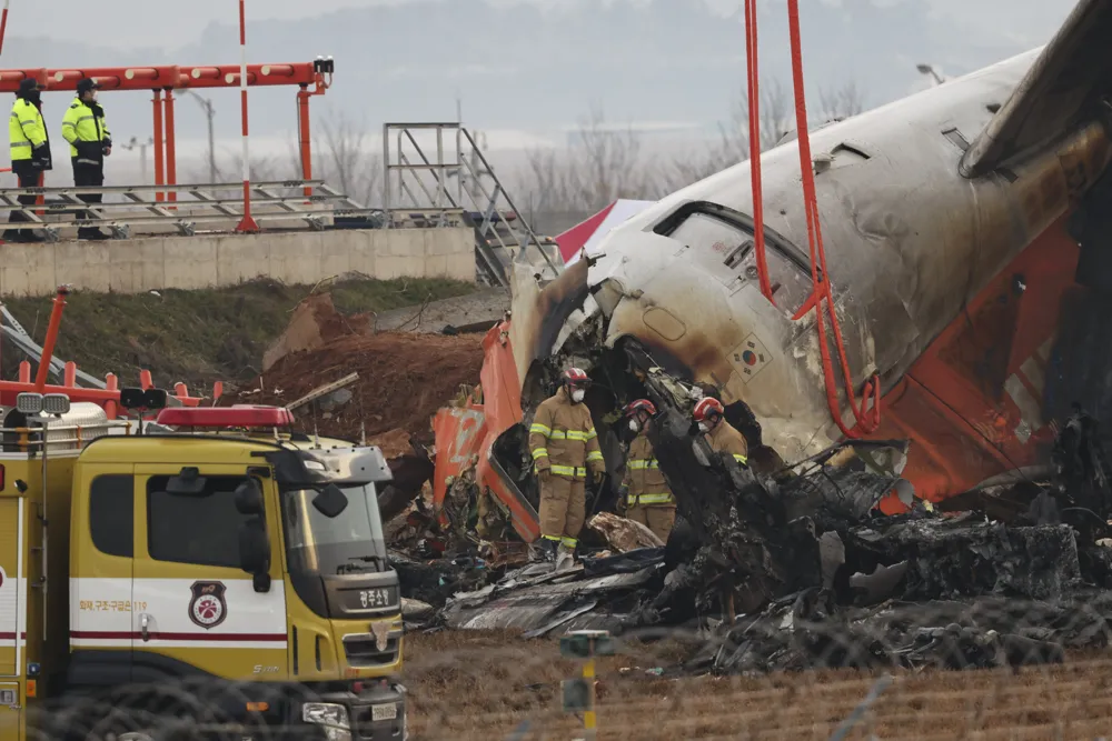 Eyewitnesses Detail Jeju Air Flight's Bird Strike Before Fatal South Korea Crash