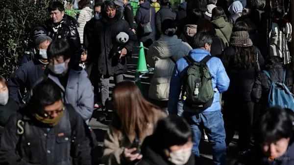 Farewell to Japan's Last Giant Pandas as They Return to China