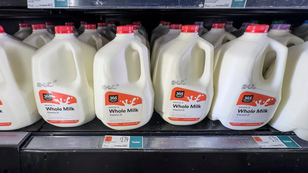 FDA Suspends Milk Quality Control Testing Amid Job Cuts