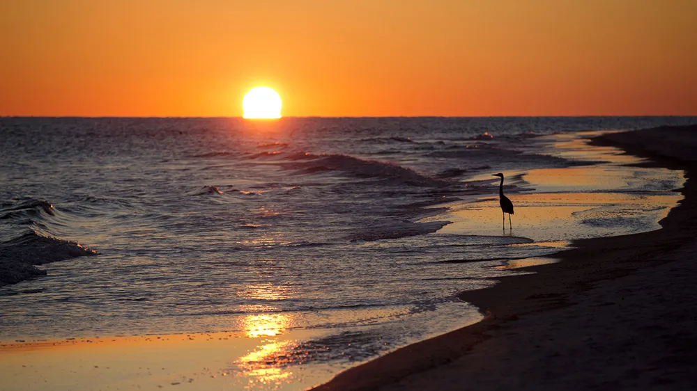 Federal Government Officially Renames Gulf of Mexico to Gulf of America and Restores Mount McKinley