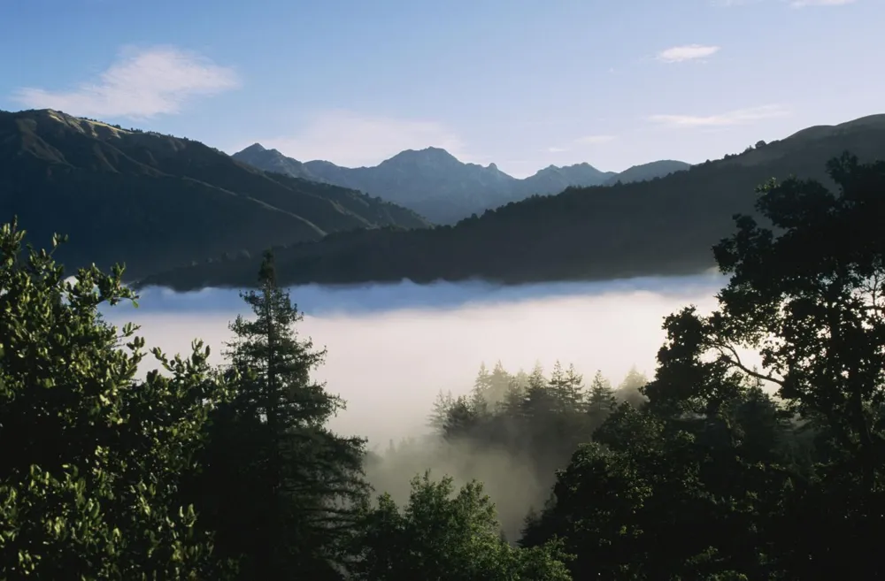 Finding Clarity in Contemplation at Big Sur's Hermitage