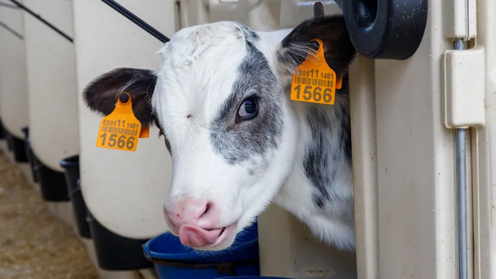 Florida Health Officials Warn of Raw Milk Risks After 21 People Fall Ill