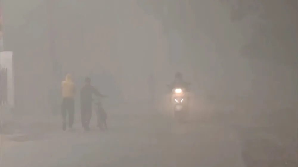 Fog Disrupts Travel in Northern India Amid Cold Wave