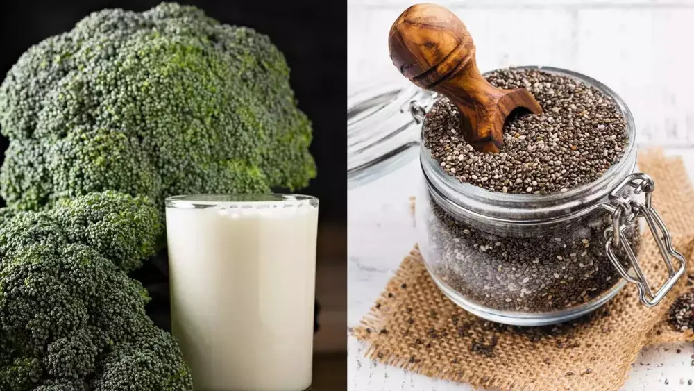 Foods to Avoid Combining with Chia Seeds for Better Digestion