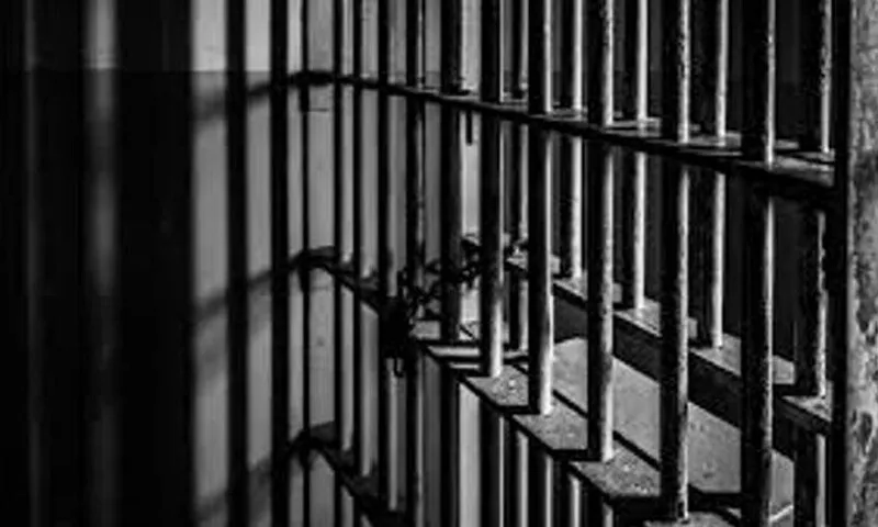 France detains 55 men in major Telegram paedophile ring operation