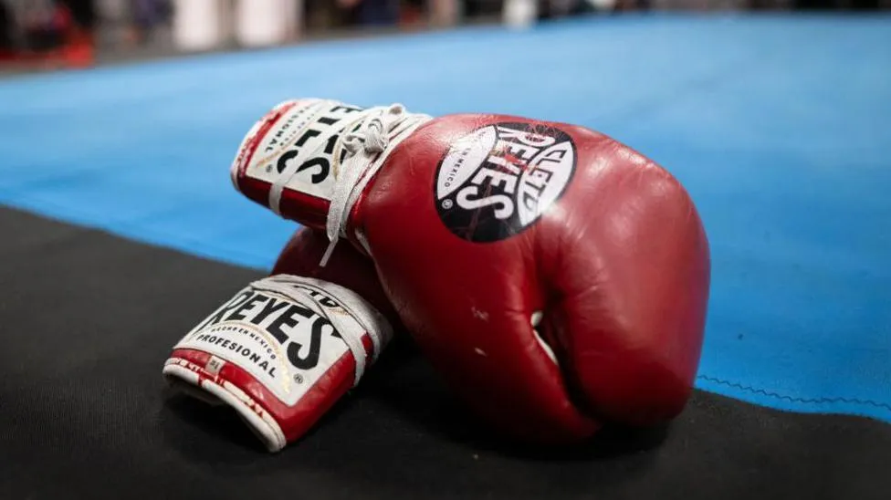 French Women's Boxing Team Barred from Championships Over Genetic Testing Delays