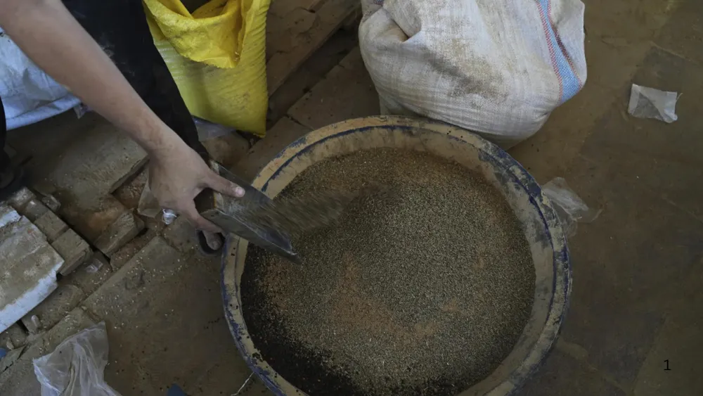 Gaza Faces Critical Hunger Crisis Amid Ongoing Israeli Blockade