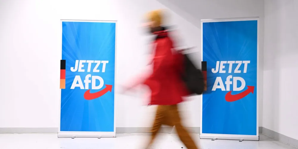 German Court Suspends 'Extremist' Classification of AfD Party