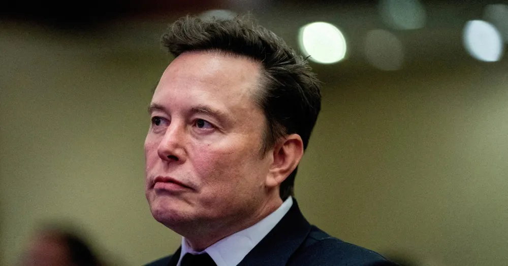 Germany Accuses Elon Musk of Election Meddling Over Support for Far-Right AfD Party