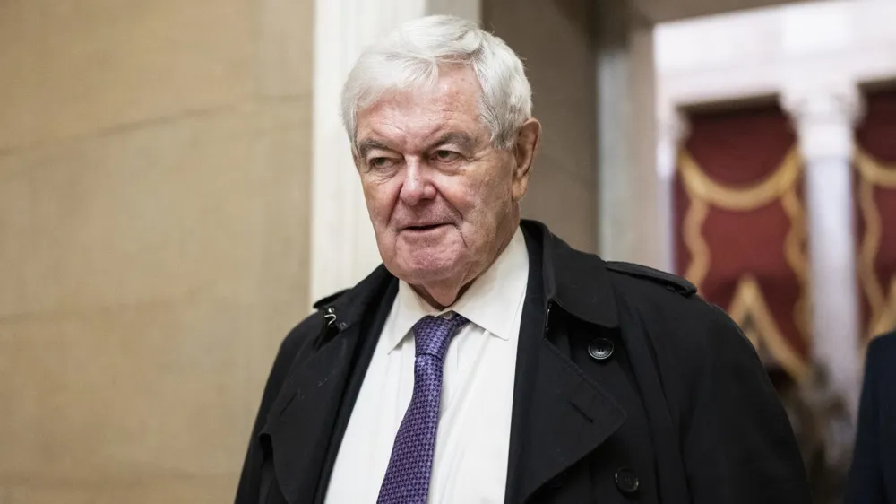 Gingrich condemns rebel Republicans’ strategy against Speaker Johnson