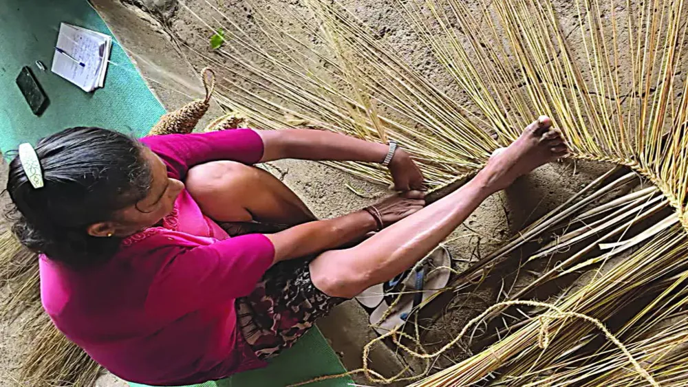 Goan Coconut Broom Seeks Geographical Indication Tag for Tradition and Sustainability