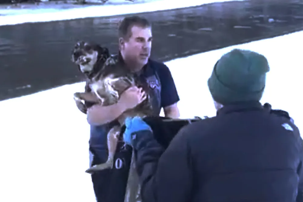 Heroic Vermont Man Rescues Dog from Icy Winooski River in Selfless Act