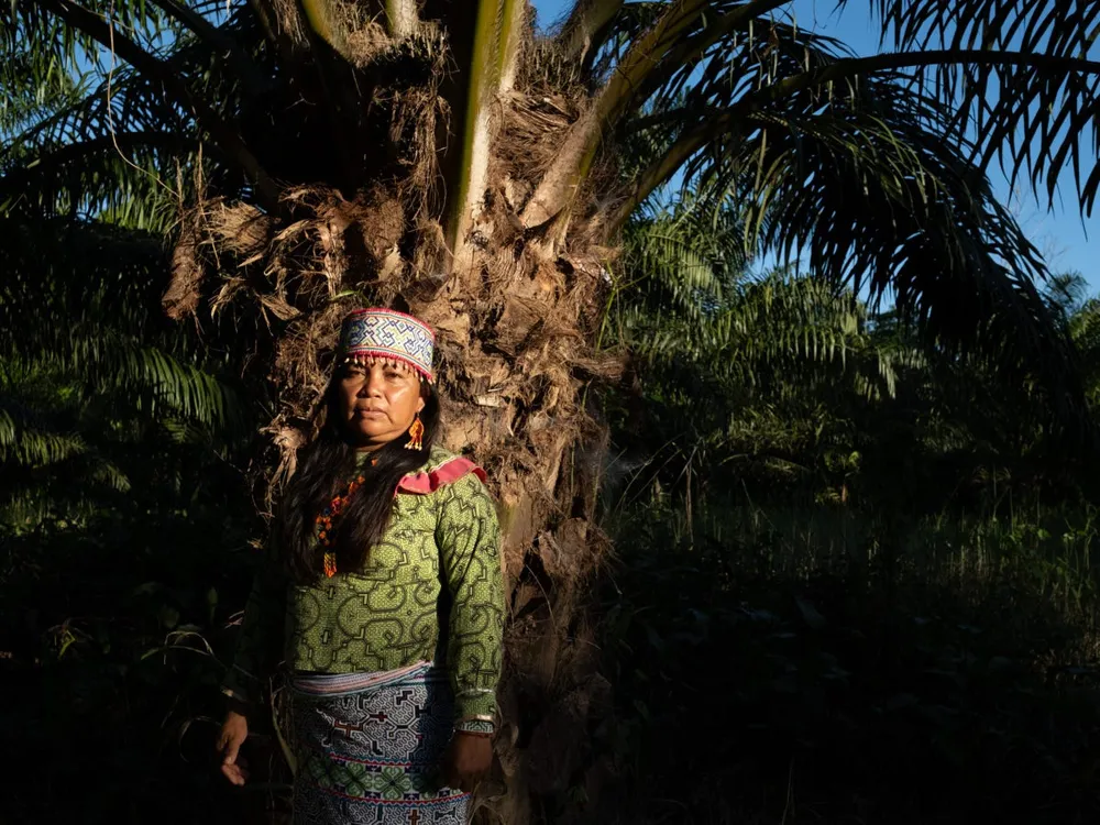 Impact of US Investments on Peru's Rainforest: The Rise and Consequences of Ocho Sur Palm Oil