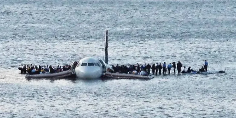 Increase in Bird Strikes: Safety Improvements Post-Miracle on the Hudson