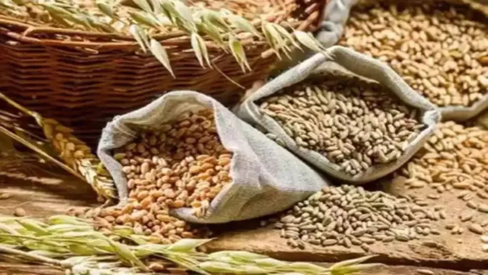 India's foodgrain production expected to hit record levels by 2025 amid agricultural recovery