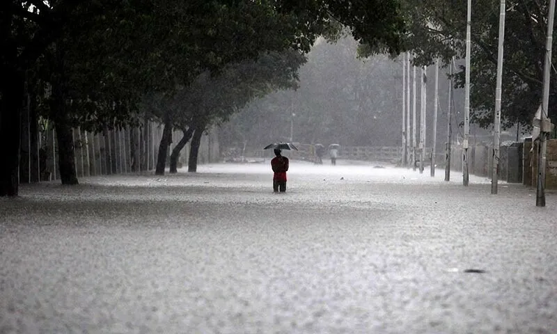 India's Monsoon Rains Arrive Eight Days Early, Promising Bumper Harvest