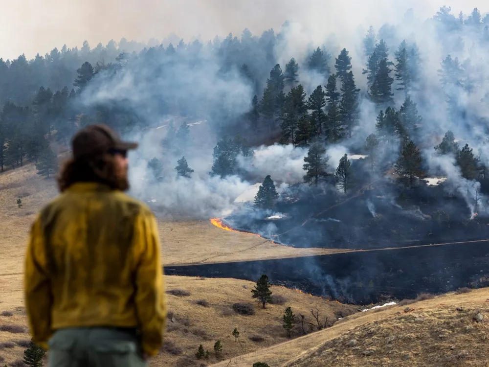 Insights on Surviving Wildfires: Lessons for Los Angeles from Colorado's Marshall Fire