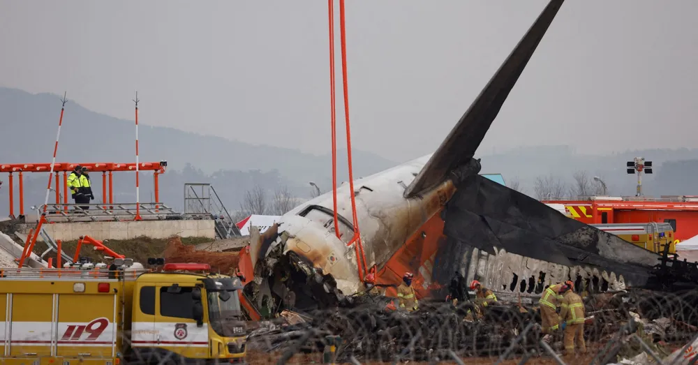 Investigation Reveals Bird Feathers and Blood in Engines of Jeju Air Crash in South Korea