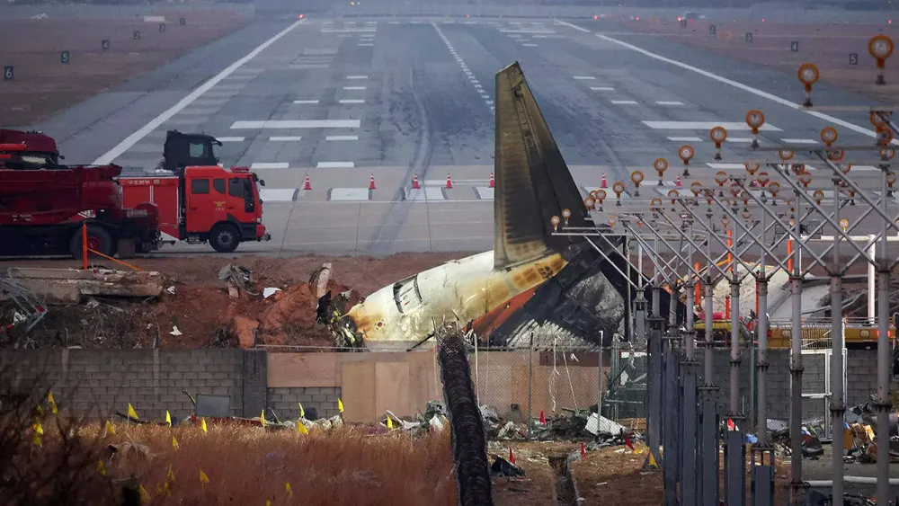 Investigation under way into South Korea's tragic plane crash possibly linked to bird strike