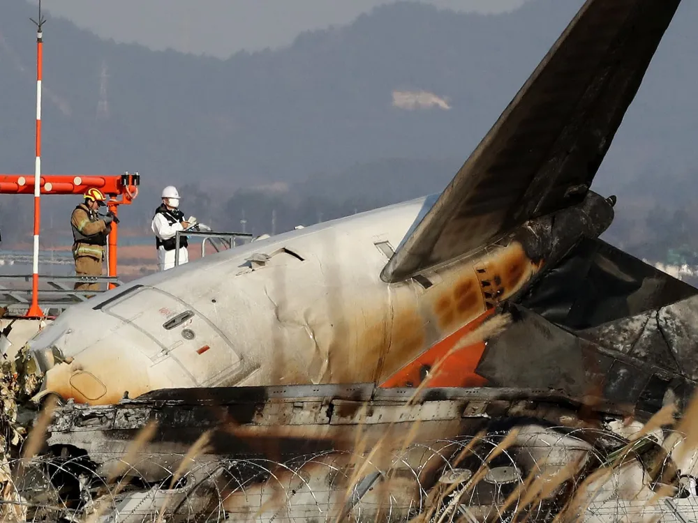 Investigation Underway After South Korean Flight Crash Linked to Bird Strike Warning