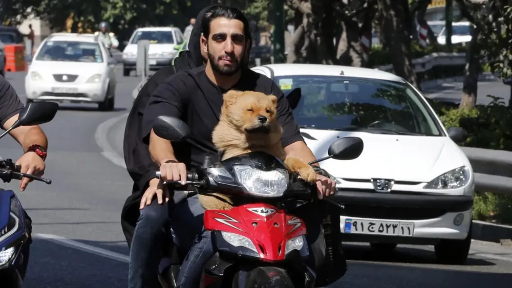 Iran Enforces Expanded Ban on Dog Walking Across Multiple Cities