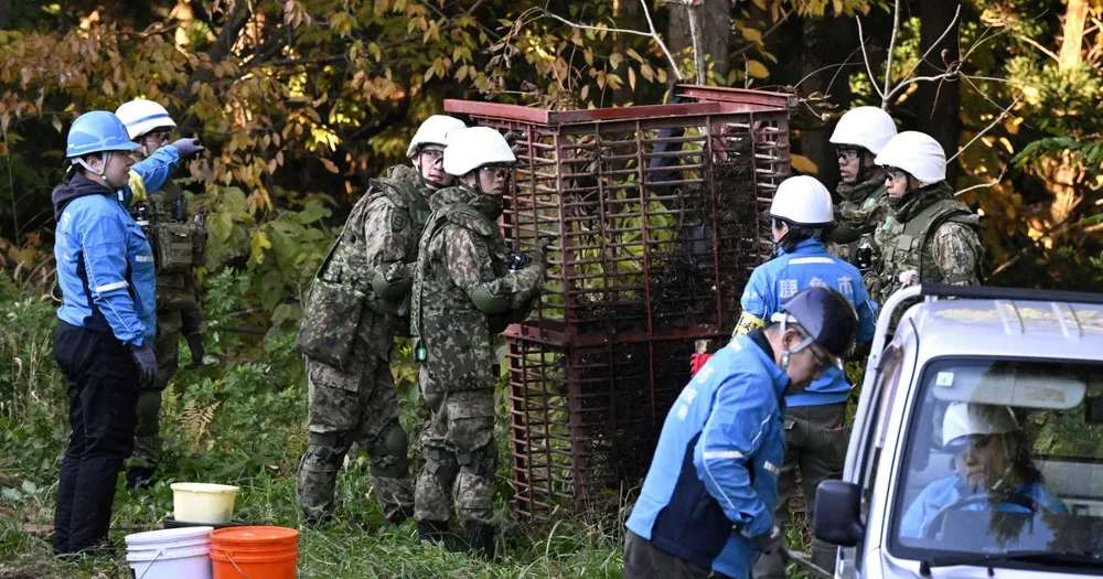 Japan Deploys Military to Address Surge in Bear Attacks Amid Climate Concerns