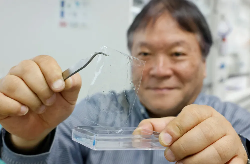 Japan researchers create seawater-dissolving plastic as innovative pollution solution