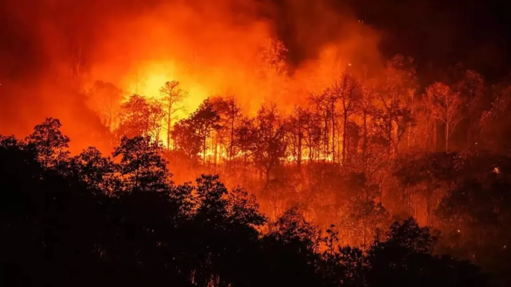 LA wildfire tragedy claims 11 lives, devastates thousands of homes amid strong winds