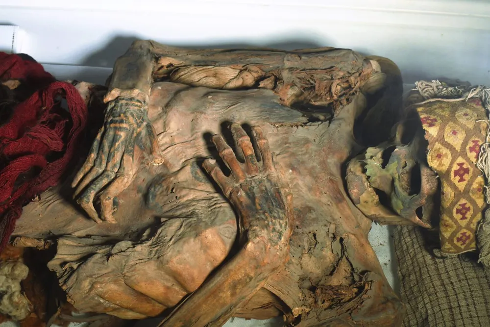 Lasers Unveil Intricate Tattoos on Ancient Peruvian Mummies, Revealing Historical Significance