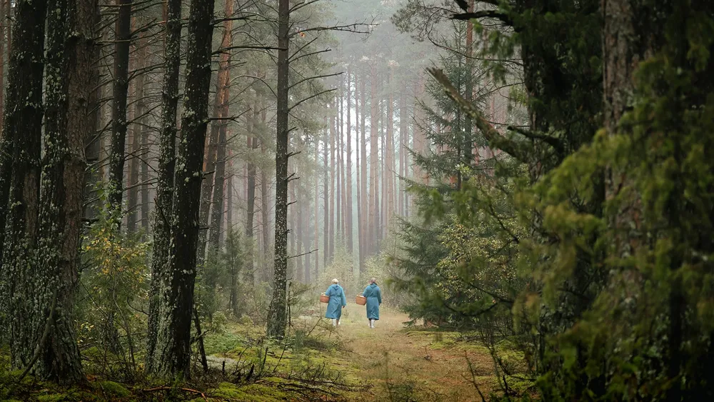 Lithuania's Dzūkija National Park: A Global Hub for Mushroom Foraging