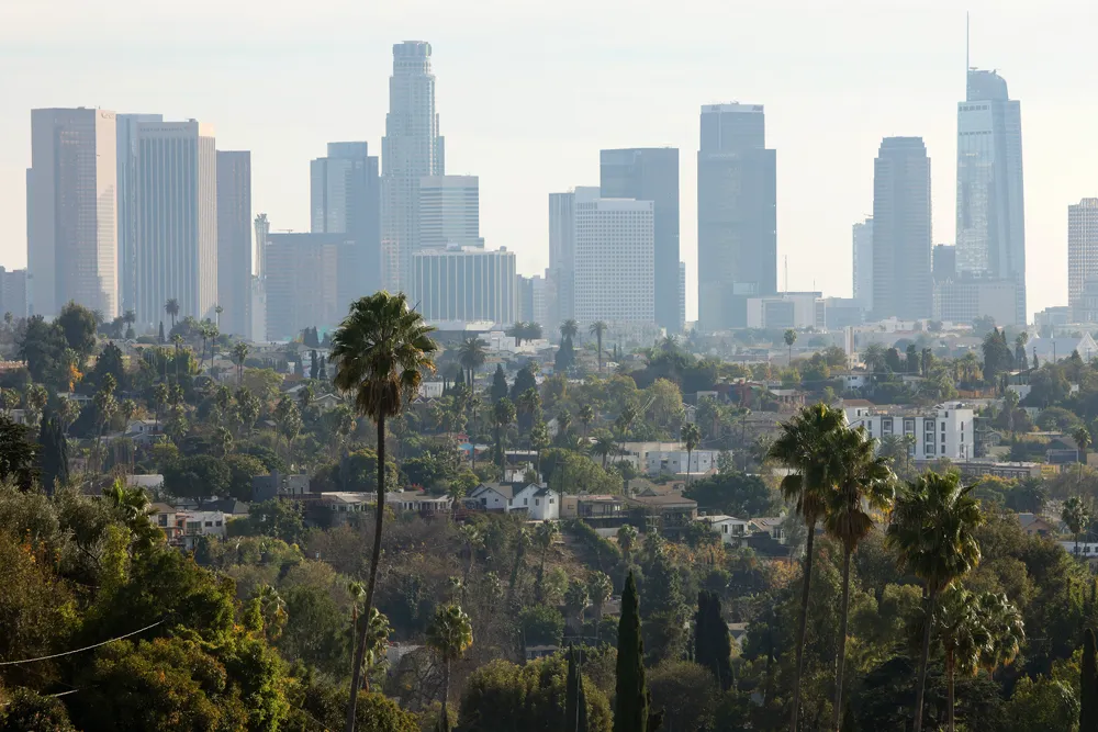 Los Angeles Faces Declining Palm Tree Population Ahead of 2028 Olympics