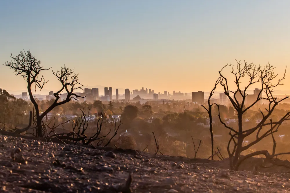 Los Angeles Prepares for New Wave of Santa Ana Winds Amid Ongoing Wildfire Crisis