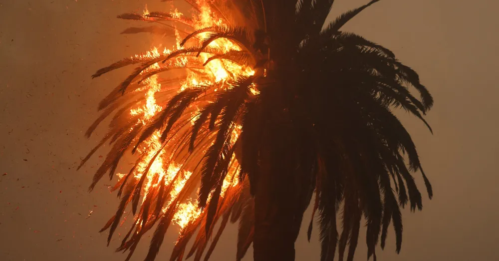 Los Angeles Wildfire Economic Losses Estimated at Over $50 Billion