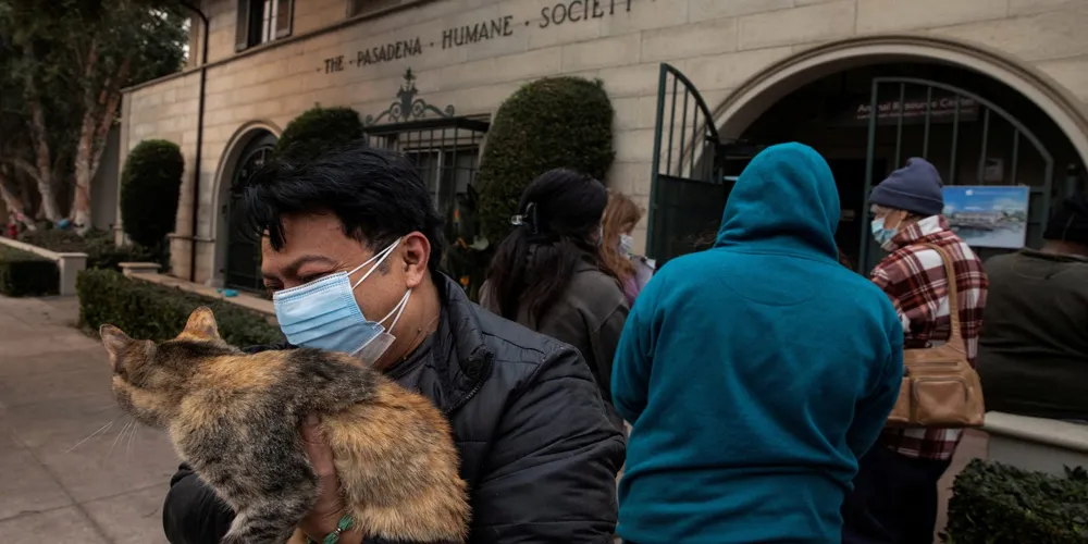 Los Angeles wildfires lead to animal shelters overflowing and urgent medical needs