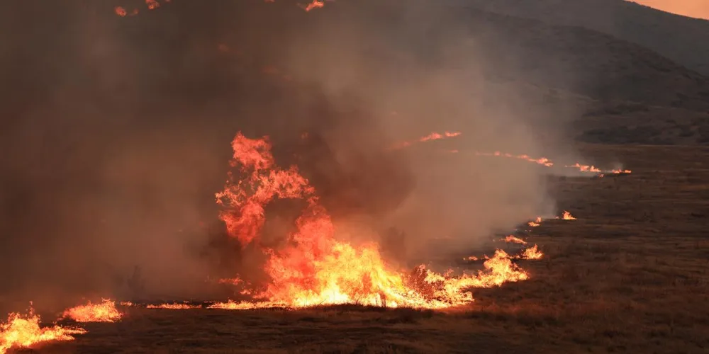Madre Fire in California Grows to Over 70,800 Acres, Prompting Evacuations