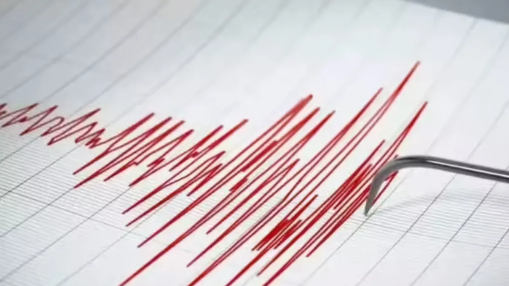 7.6 Magnitude Earthquake Strikes Near Neiafu, Tonga; Tsunami Warning Issued and Later Eased