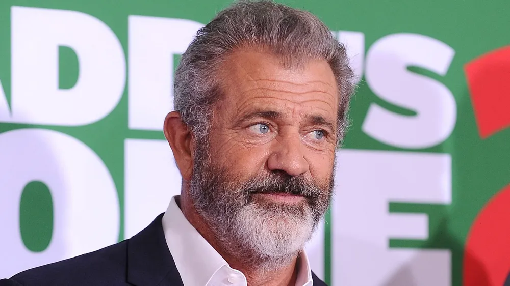 Mel Gibson's Malibu Home Lost to Wildfires During Joe Rogan Podcast